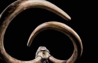 Древнейшие изделия из бивня мамонта могли быть детскими игрушками, согласно археологам